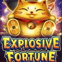 Explosive Fortune